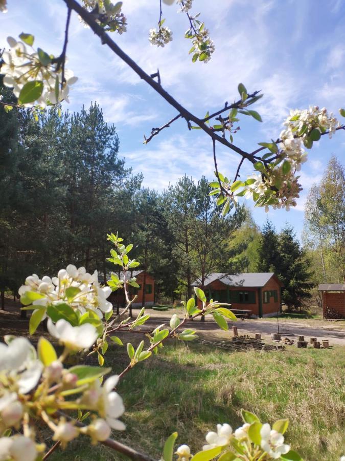Agroturystyka Oaza Ciszy I Spokoju Miedzychod Εξωτερικό φωτογραφία